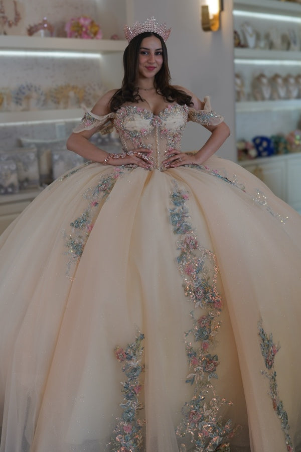 Off Shoulder Sleeveless Beaded 3D Flowers Appliques Champagne Sweet 15 Quinceanera Dress WQ1483