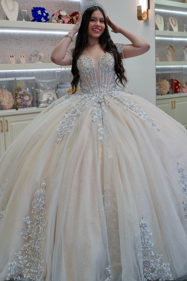 Off Shoulder Sleeveless Beaded Appliques Bow Knot Champagne Sweet 15 Quinceañera Dress WQ1611