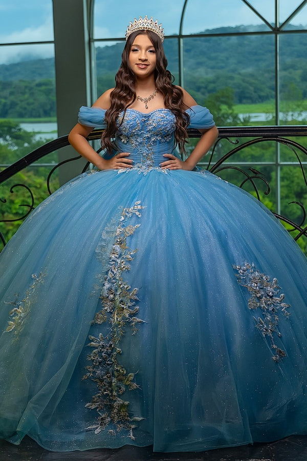 Off Shoulder Sleeveless Beaded Sequins Flower Appliques Blue Sweet 15 Quinceañera Dress WQ1714