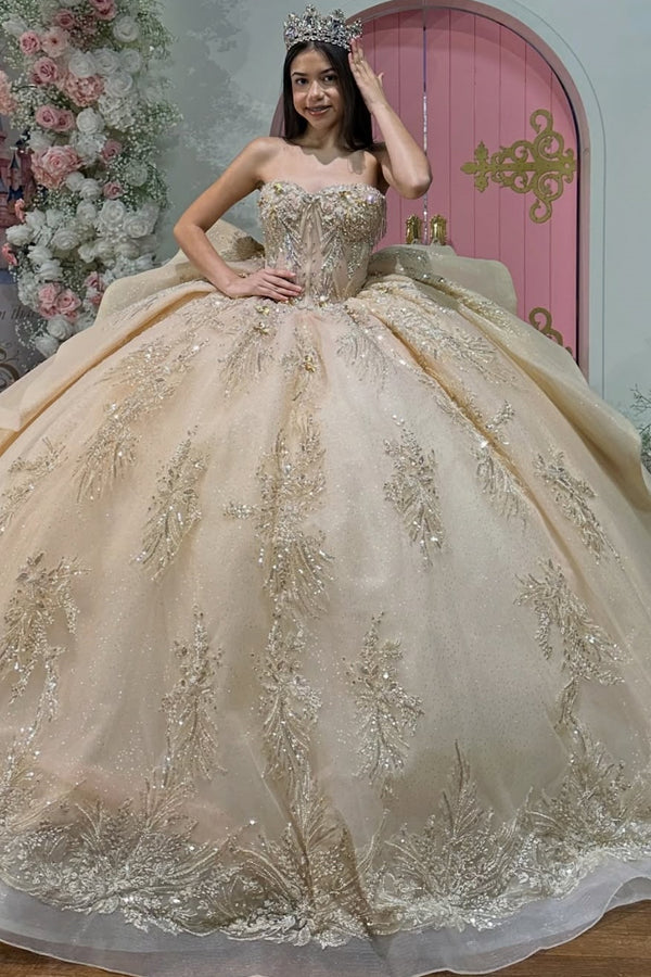 Off Shoulder Sleeveless Beaded Sequins Appliques Ruffles Champagne Sweet 15 Quinceañera Dress WQ1766